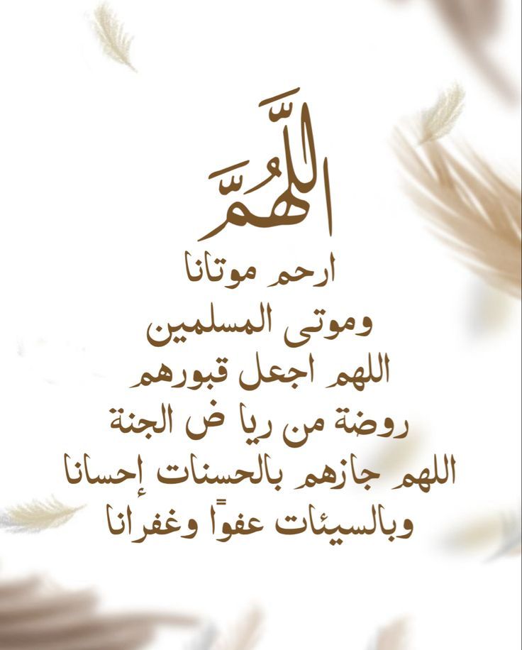 Eman🇯🇴 tweet media