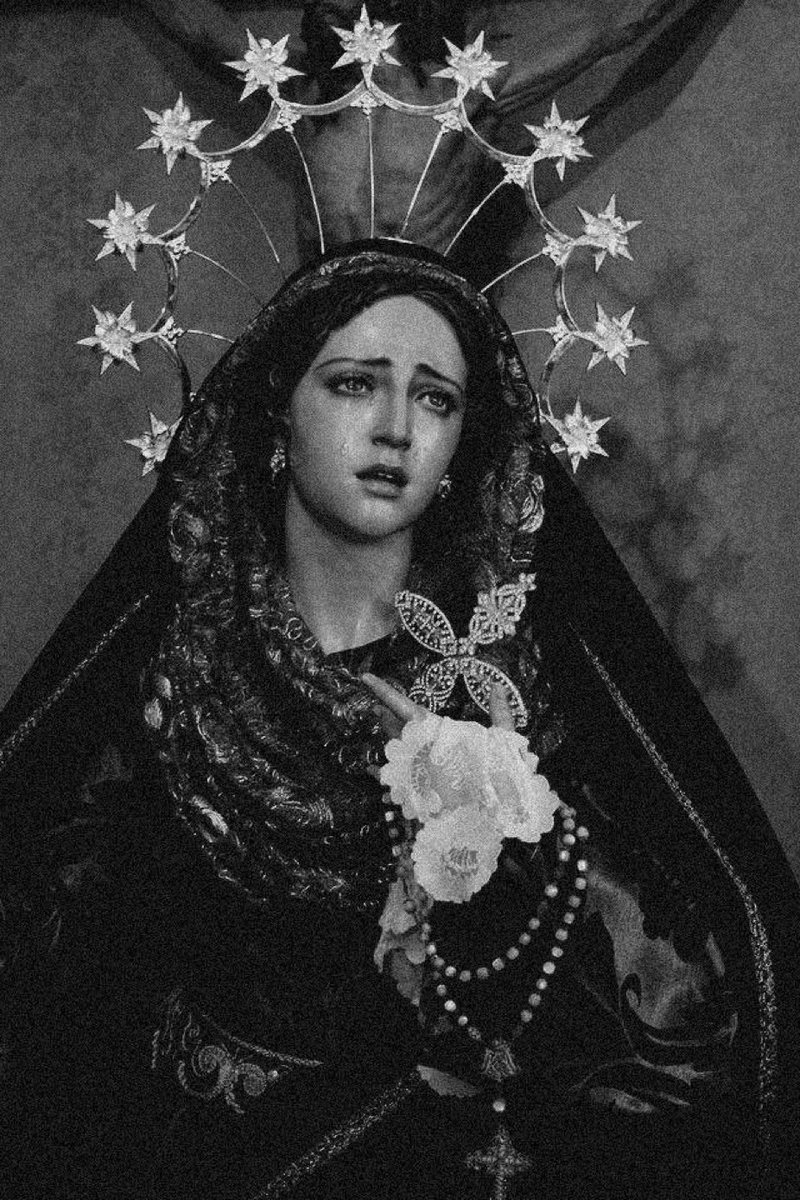 🇻🇦 tweet media