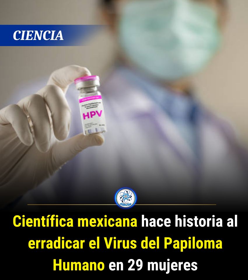 Enséñame de Ciencia tweet media