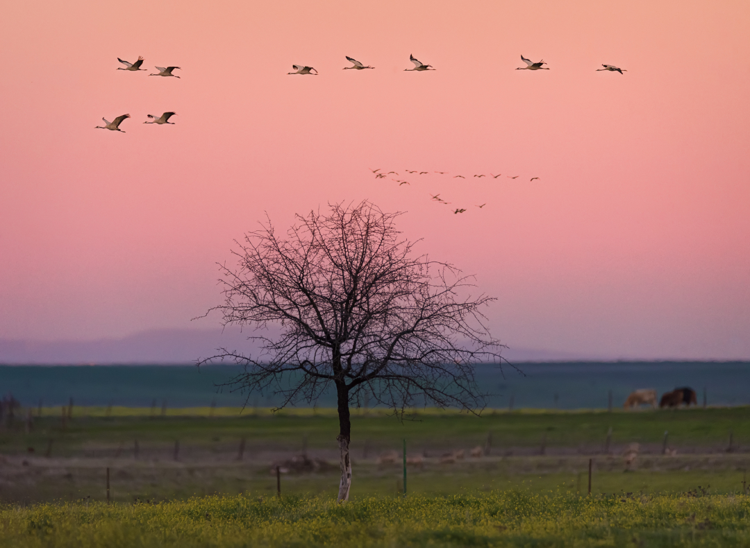 Fundación Biodiversidad tweet media
