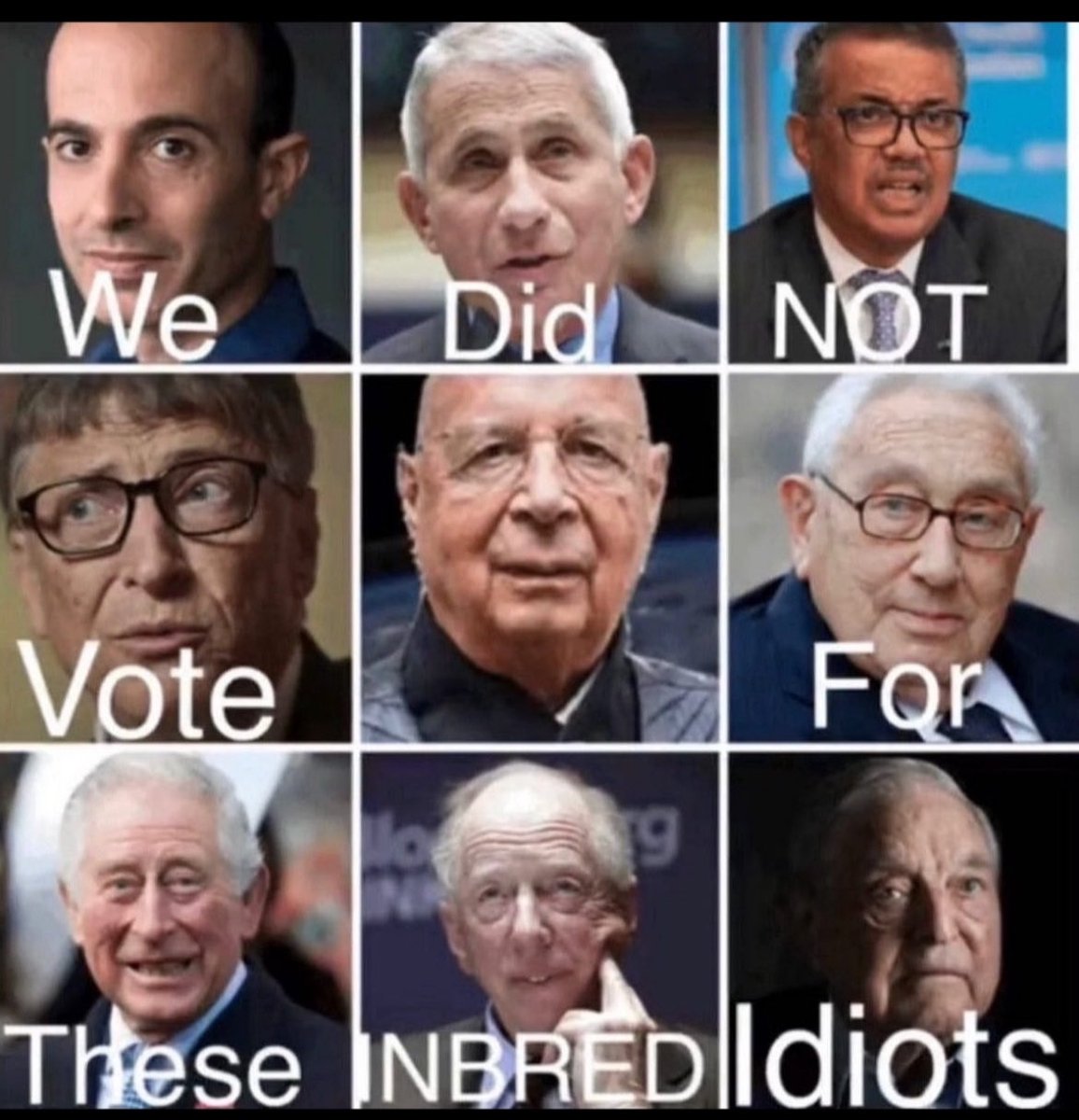 1st Generation 🇺🇸🇳🇴🇮🇪 tweet media