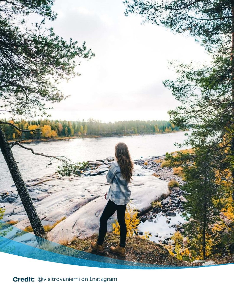 SideGigRewards's tweet photo. Our shoutout for the top social post of the day on Lapland Finland goes to @visitrovaniemi on Instagram. From @visitrovaniemi: Autumn is approaching in Lapland, painting landscapes in vibrant colors. Share your favorite autumn activity. Are you planning a visit with the... https://t.co/cFku99dN4q