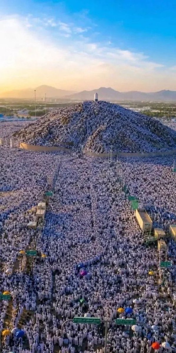 ابو ذيب/ الضيغمي✌🏻 tweet media