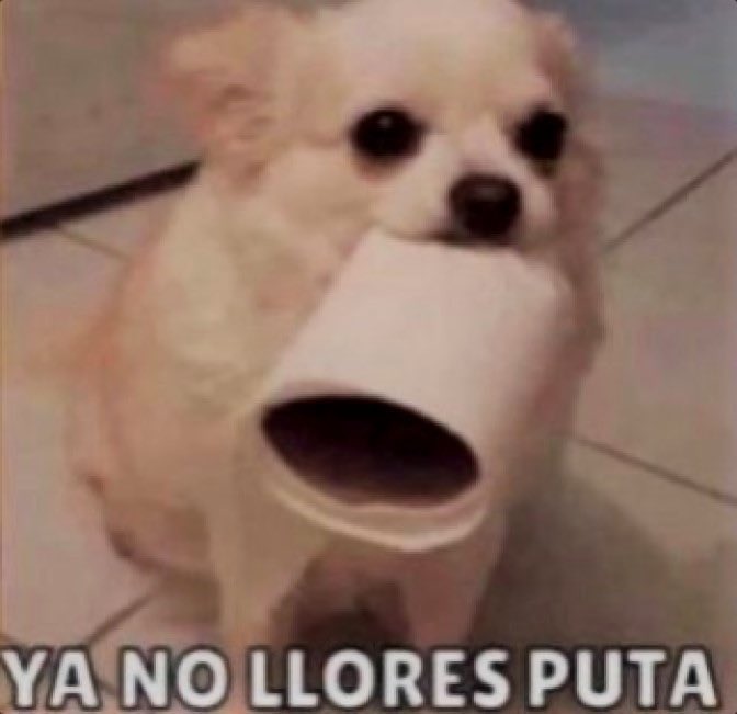 luis alberto estrada tweet media