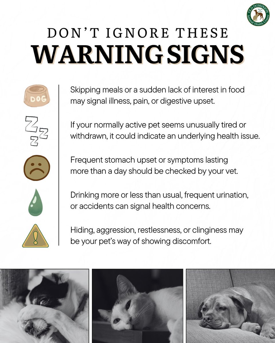 ODAHCenter's tweet photo. Pets can’t tell us when something’s wrong, but their behavior can 🐾

Loss of appetite, low energy, vomiting, or behavior changes may mean it’s time for a vet visit.

Early care makes a difference 💙

#PetHealth #PetCare #VetVisit https://t.co/KcMq86Ivoh