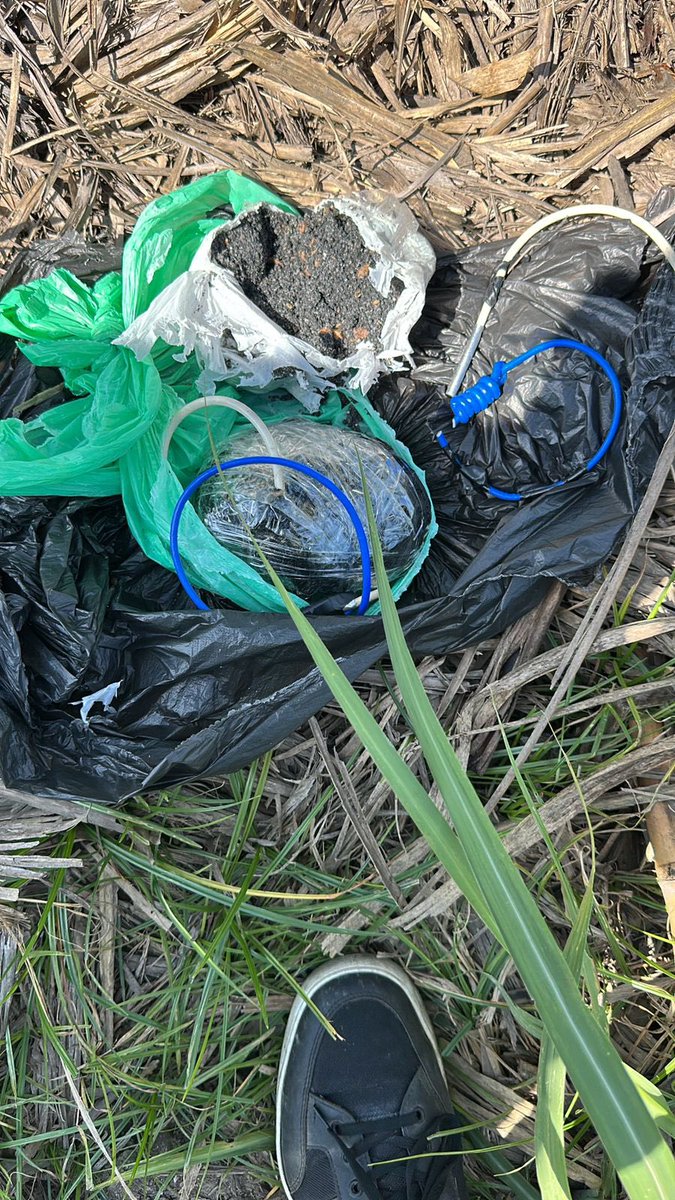 FuerzasMilCol's tweet photo. #ContundenciaOperacional | Un artefacto que había sido cargado con tres kilos de explosivo alto poder destructivo e instalado cerca de una torre de energía, por integrantes del grupo armado organizado residual Jaime Martínez, poniendo en riesgo la infraestructura estratégica del Estado y la seguridad de los habitantes del sector de Candelaria, #ValleDelCauca, fue ubicado y neutralizado por las tropas de nuestro @COL_EJERCITO y la @PoliciaColombia, frustrado las intenciones terroristas de este GAO.
#SeguridadYDemocracia2026