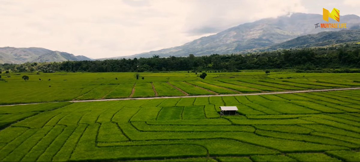 India Aesthetica tweet media