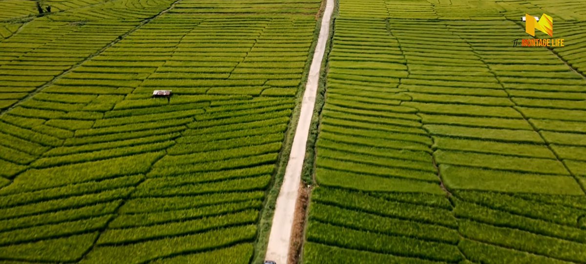 India Aesthetica tweet media