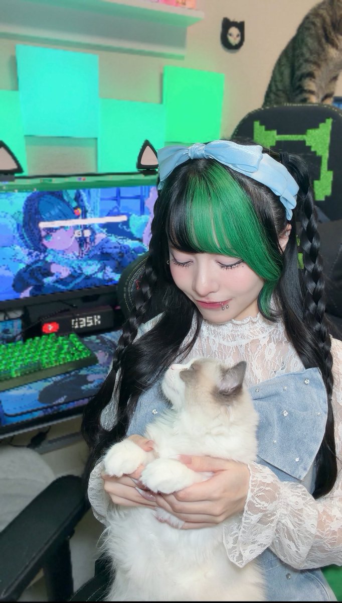 猫はお吸い物 tweet media