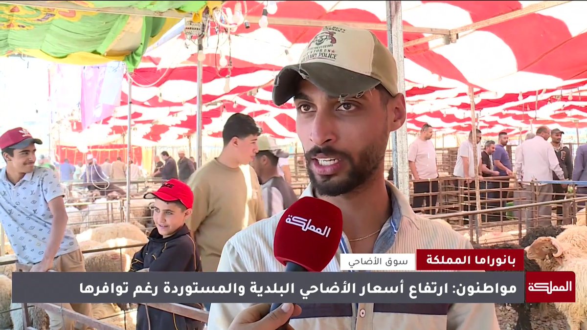 حركة إقبال بين الضعيفة والمتوسطة على أسواق الأضاحي في ظل ارتفاع الأسعار محليًا #الأردن 