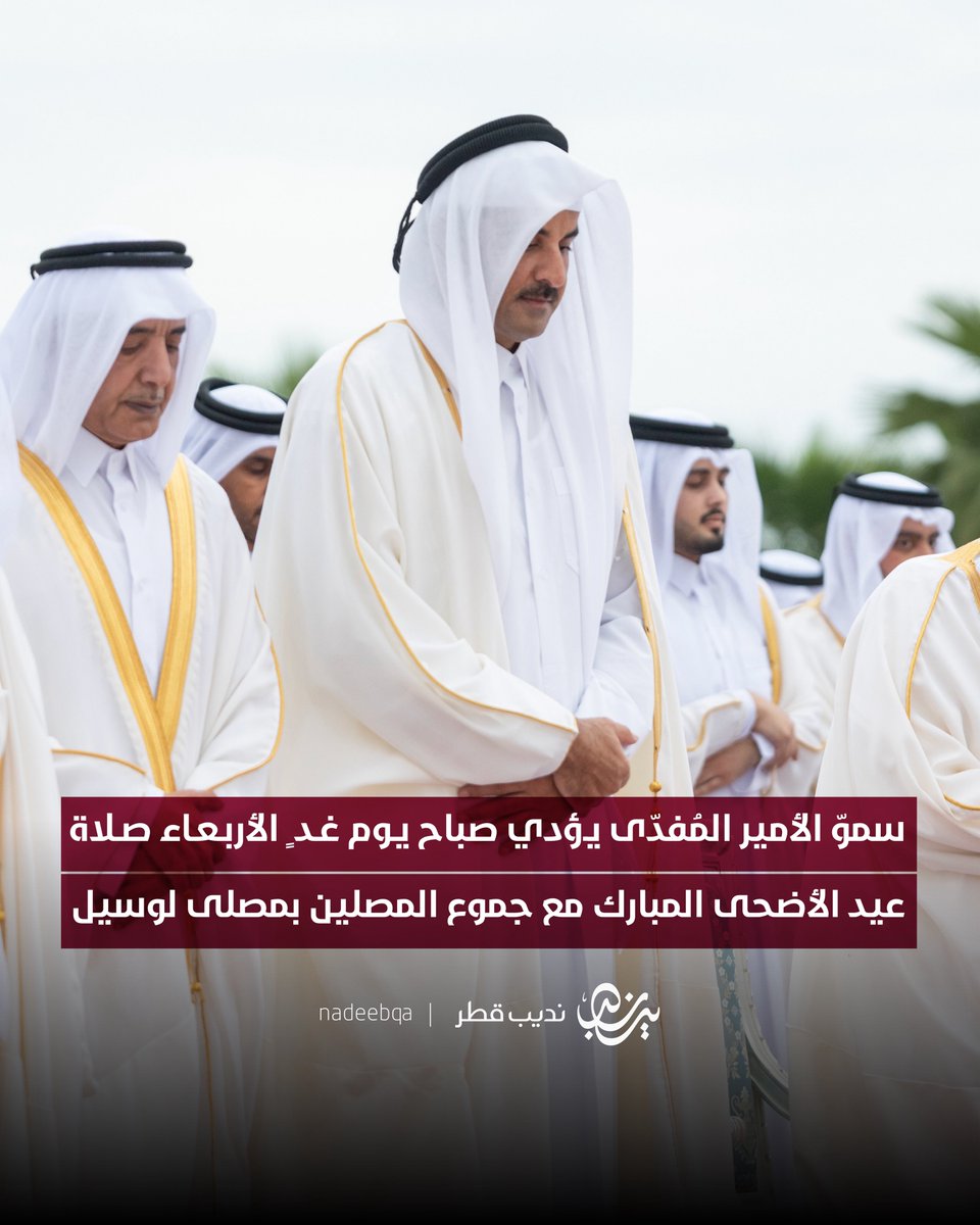 نديب قطر tweet media