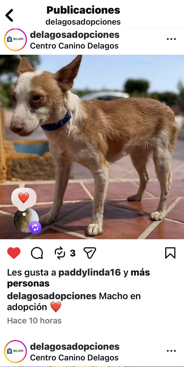 Eternaluna 🌍 Cristina GRANADA tweet media