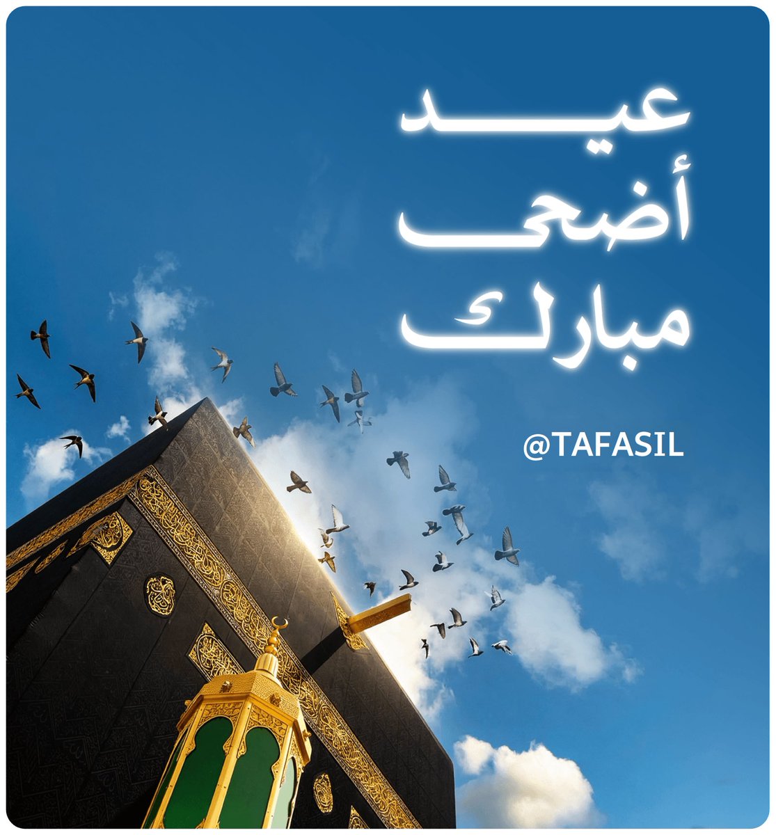 تفاصيلوف tweet media