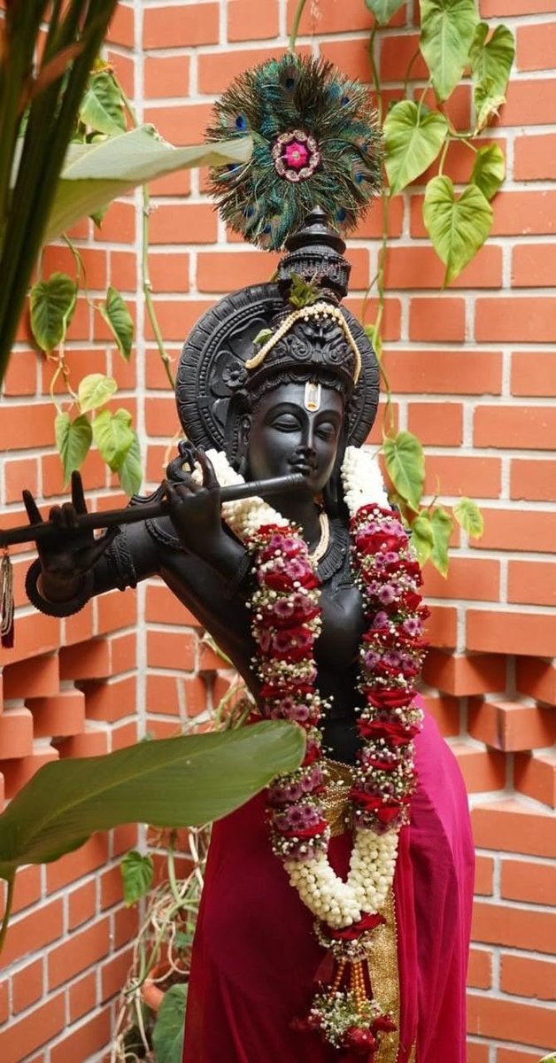 Vaishali Pandit tweet media