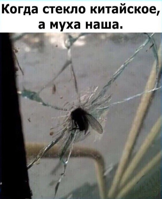 Алексей Толстый tweet media