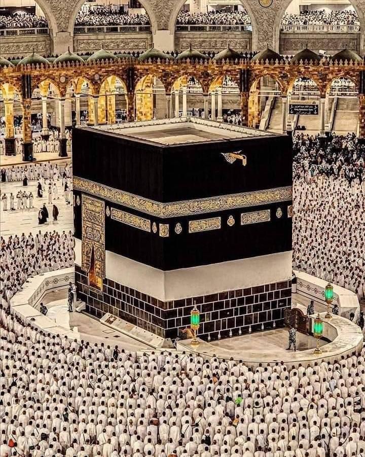 🥀عـͫــͣــͥــقیل احمد خان🌷 tweet media