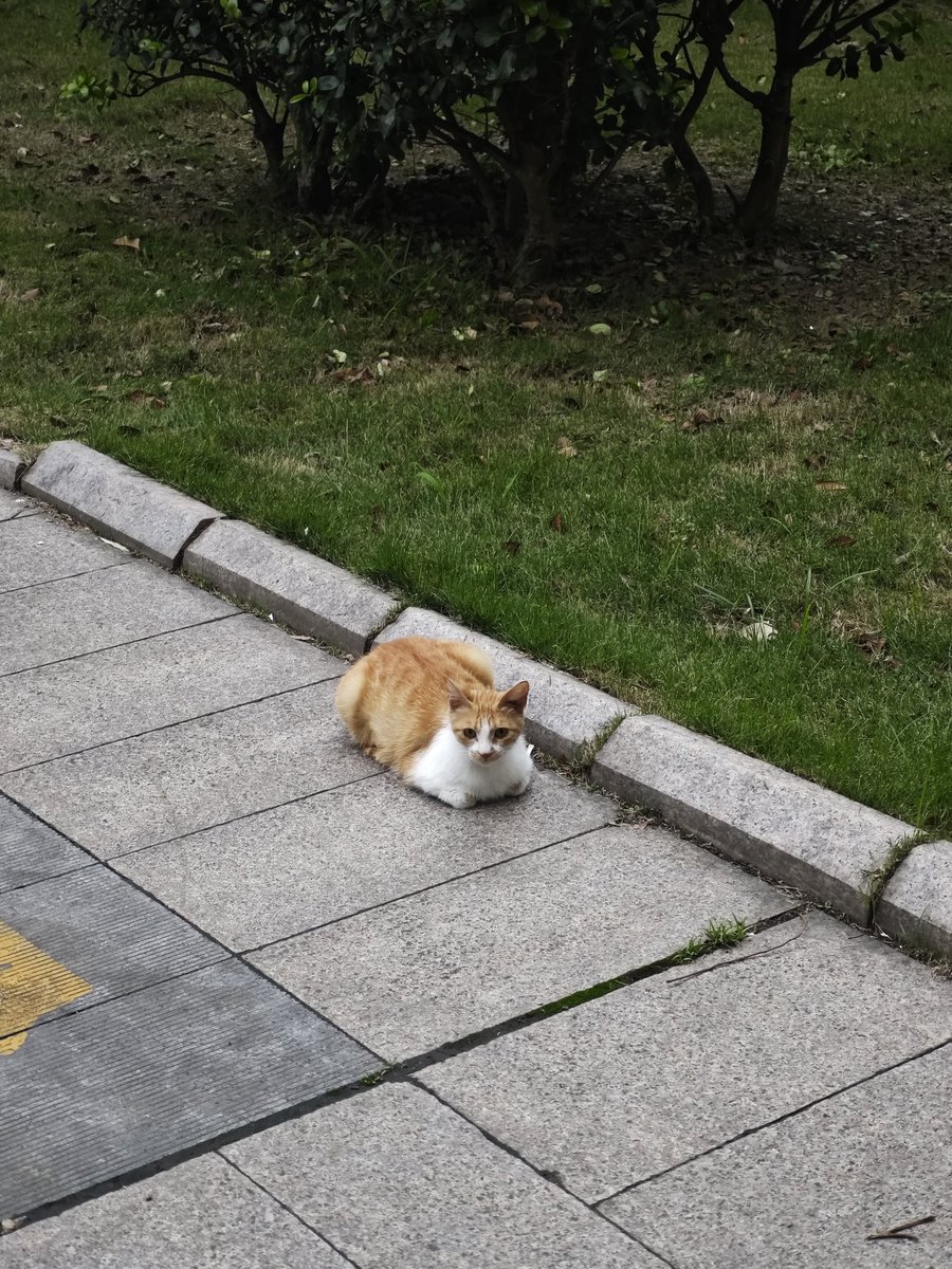 雨滴落 tweet media