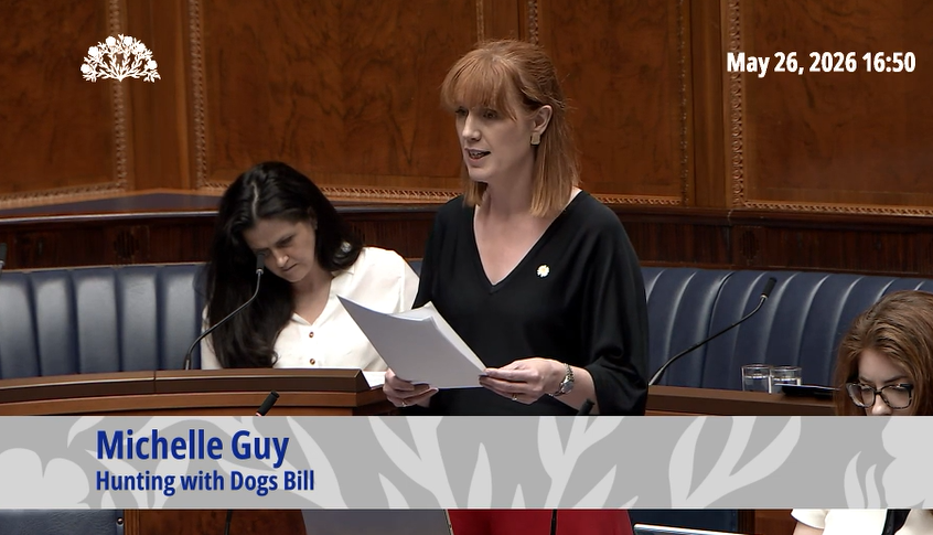 banbloodsports's tweet photo. "The idea of an animal being pursued until exhausted - cornered, terrified and ultimately torn apart by dogs  - is something many people instinctively recoil from. It cannot be justified as entertainment and in 2026 it should not continue in Northern Ireland" Michelle Guy MLA https://t.co/0spqN7VBZj