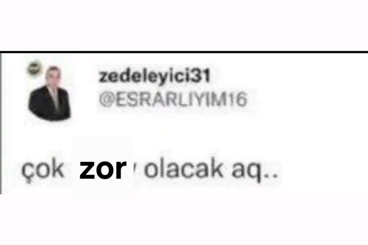 tedinananası🇹🇷 tweet media