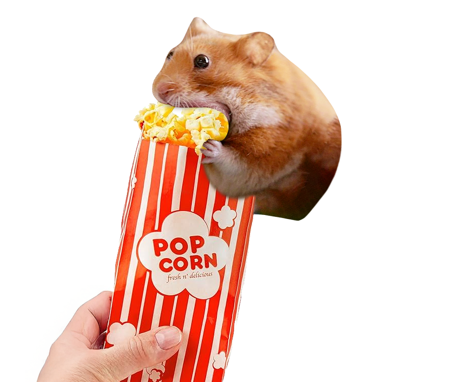 nomnom_solana's tweet photo. @Pumpfun ready for the next update nom nom https://t.co/oADxsr99Tc