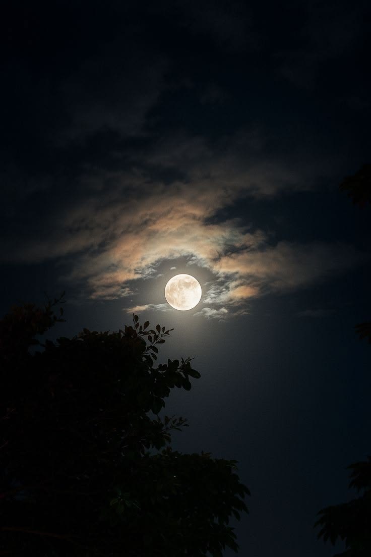 Lovandfear's tweet photo. In English we say, “I can’t sleep.”

But in poetry we say, “The moon watches quietly as my mind rehearses every memory it should have buried by now...— lovandfear 🩷 https://t.co/DdwTCFxC4F