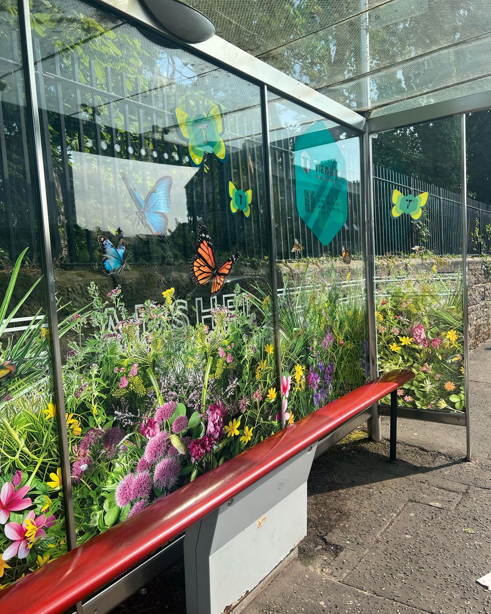TrBrk's tweet photo. Love the new bus stop outside Drumglass Park https://t.co/iKtxvQA4sl