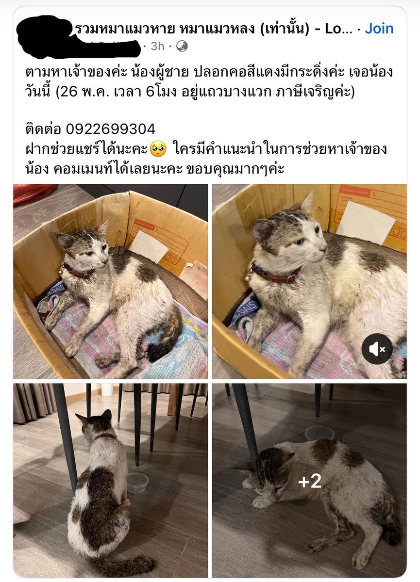 พอจอ 𑣲ˏ tweet media