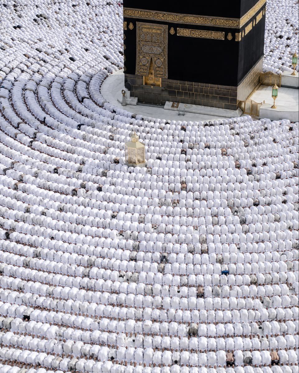 د. ماهر المعيقلي tweet media