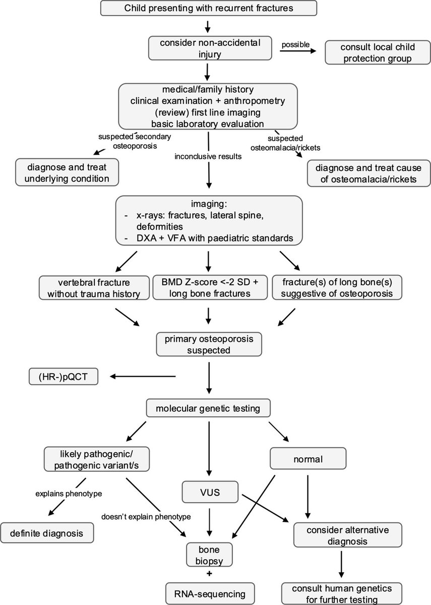 Bmd Algorithm 15-minute consultation: Modern diagnostic approach to the child with ...