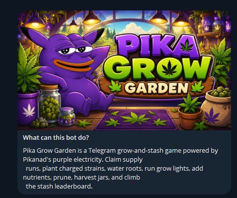 Pikanads tweet media