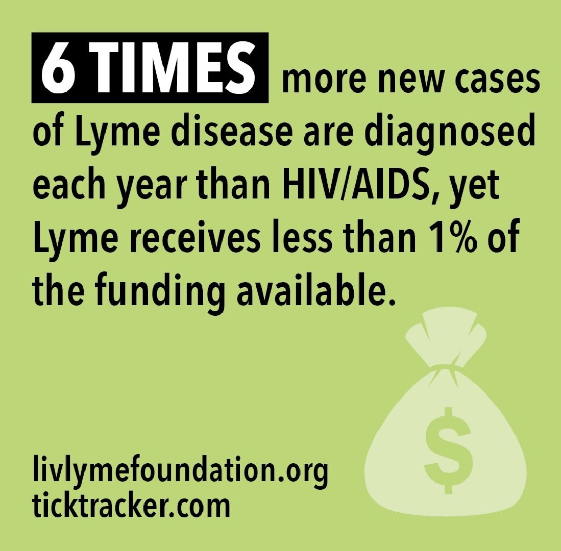 LivLymeFoundation tweet media
