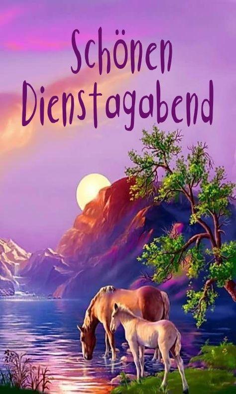 Barbara Behrens 🐈😘 tweet media