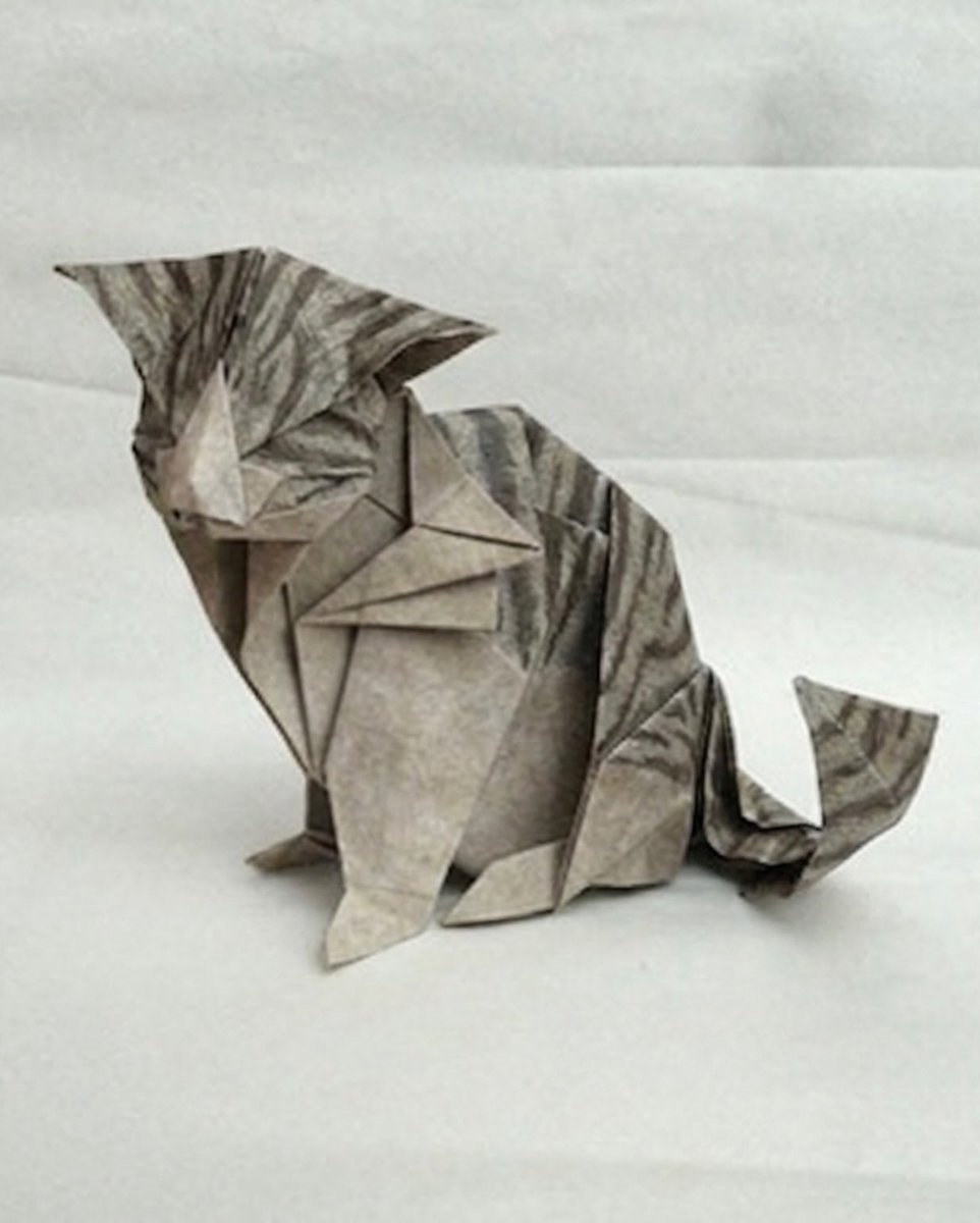 BestOfMeow's tweet photo. Origami cat https://t.co/wKILu5rNJL