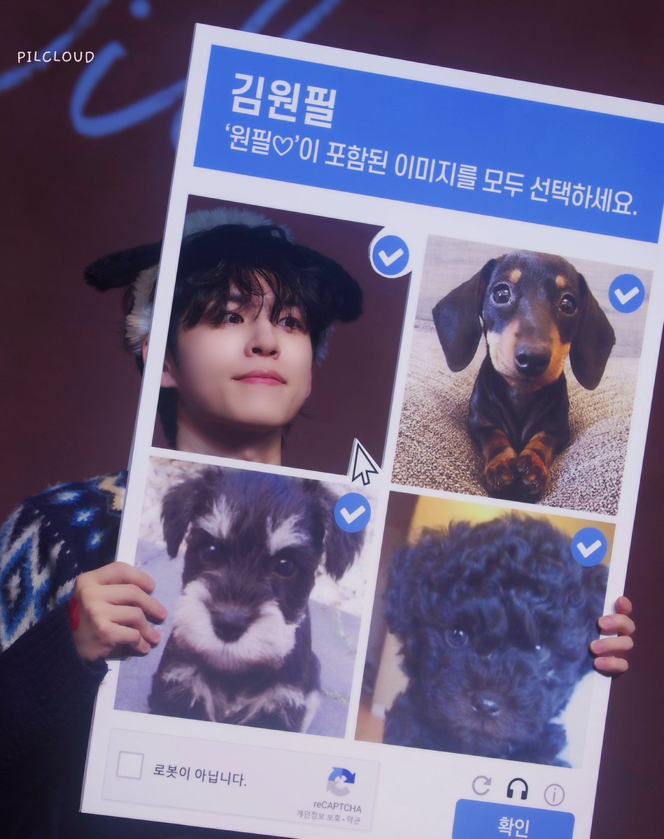 봄🐰 tweet media