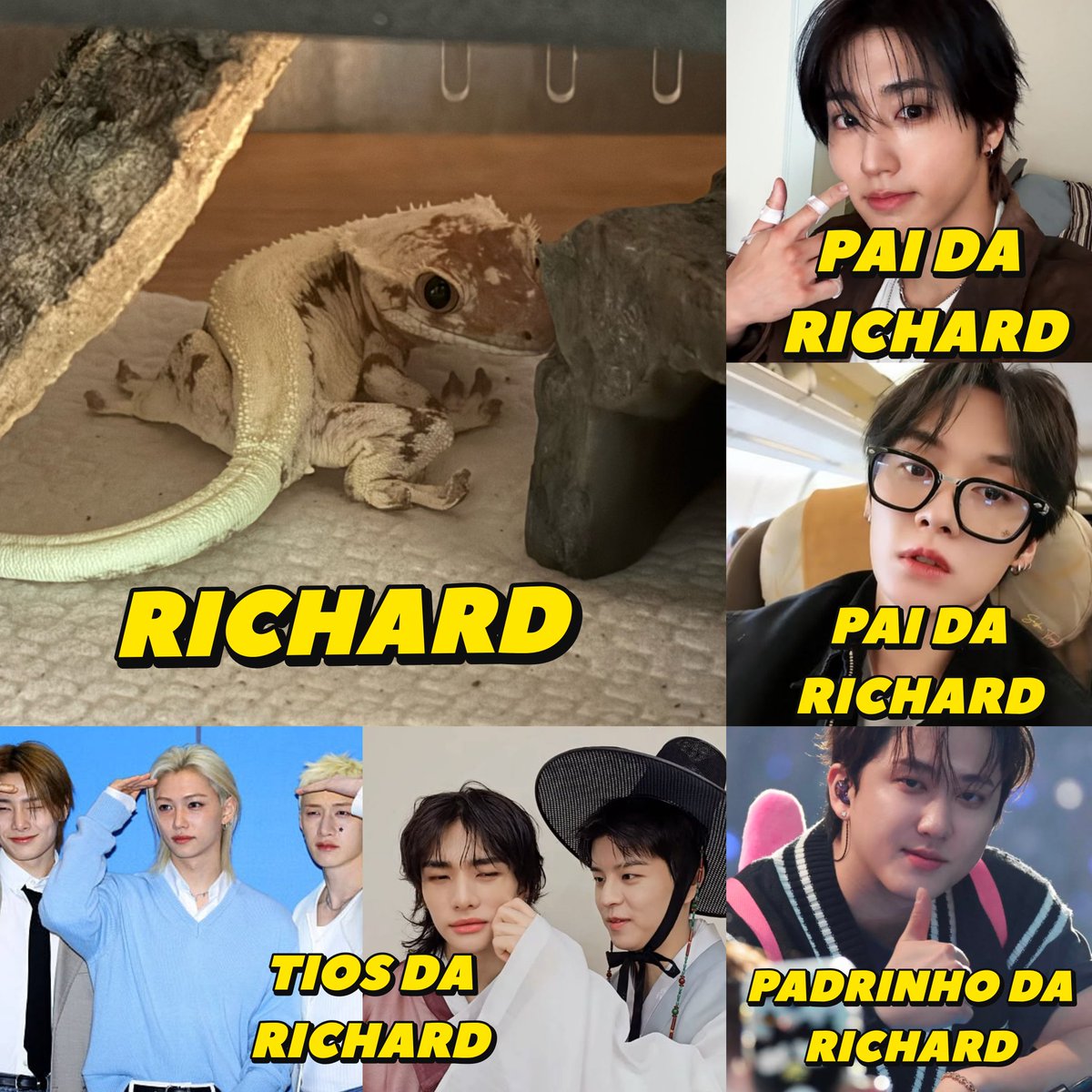 nyx jurídico minchanlix 🐈⬛🐺🐈 VAI VER O SKZ tweet media