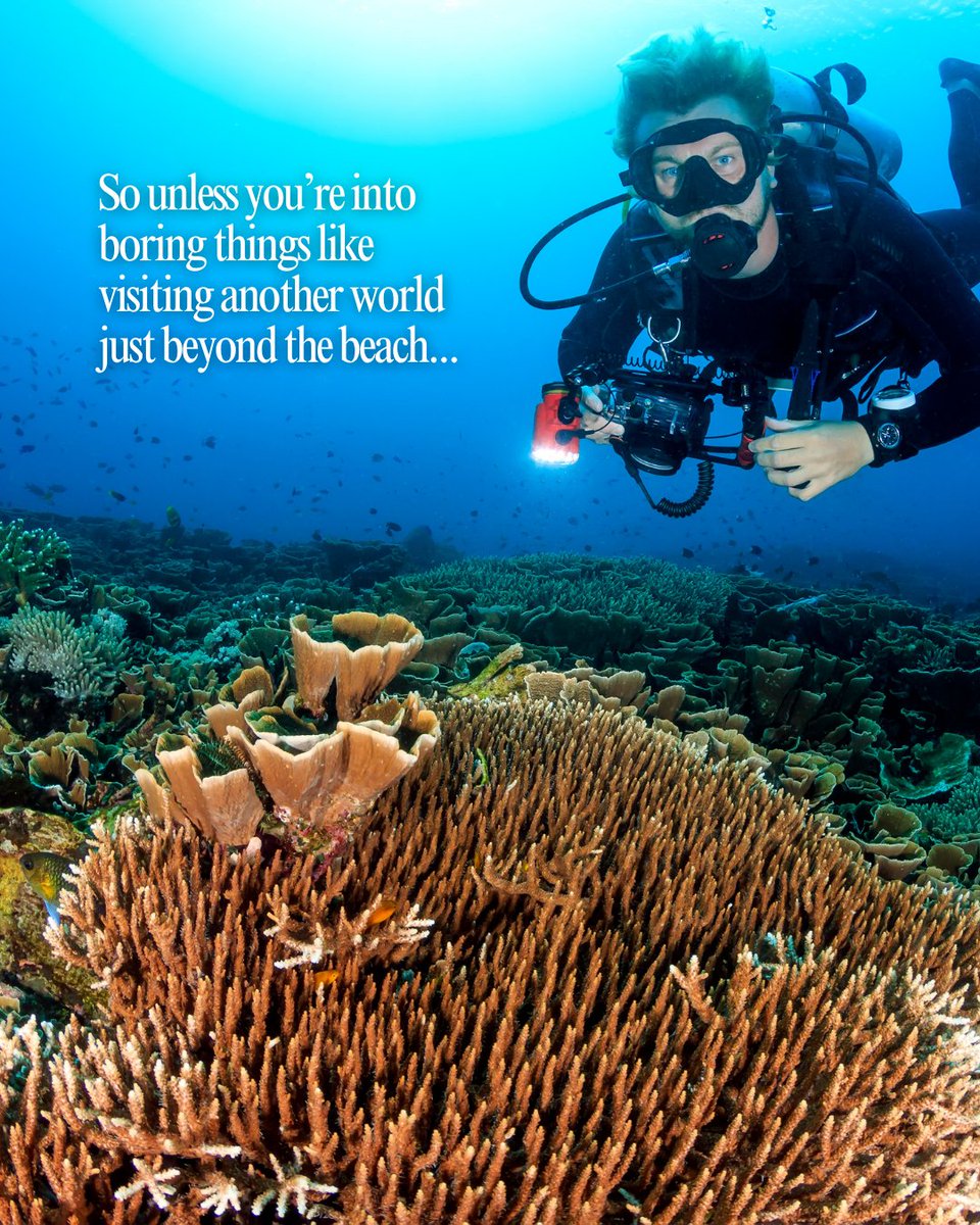 PADI tweet media