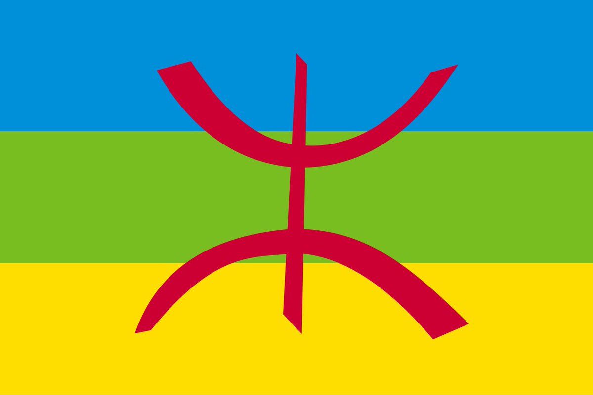 3arbialunaire's tweet photo. 4 flags that represent my heritage 🌟❗️ https://t.co/Ddt51RgFp1