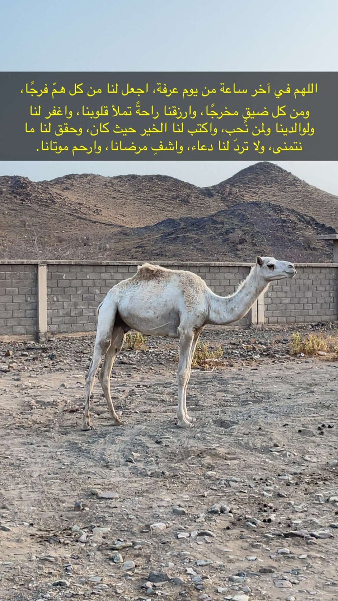 9989999's tweet photo. #يوم_عرفه

اللهم لا تدع لنا في هذا اليوم العظيم ذنباً إلا غفرته ولا هماً إلا فرجته ولا دعاءً إلا استجبته اللهم غيّر أقدارنا إلى أجملها واجعلنا من عتقائك من النار https://t.co/WzAlHCzMBS