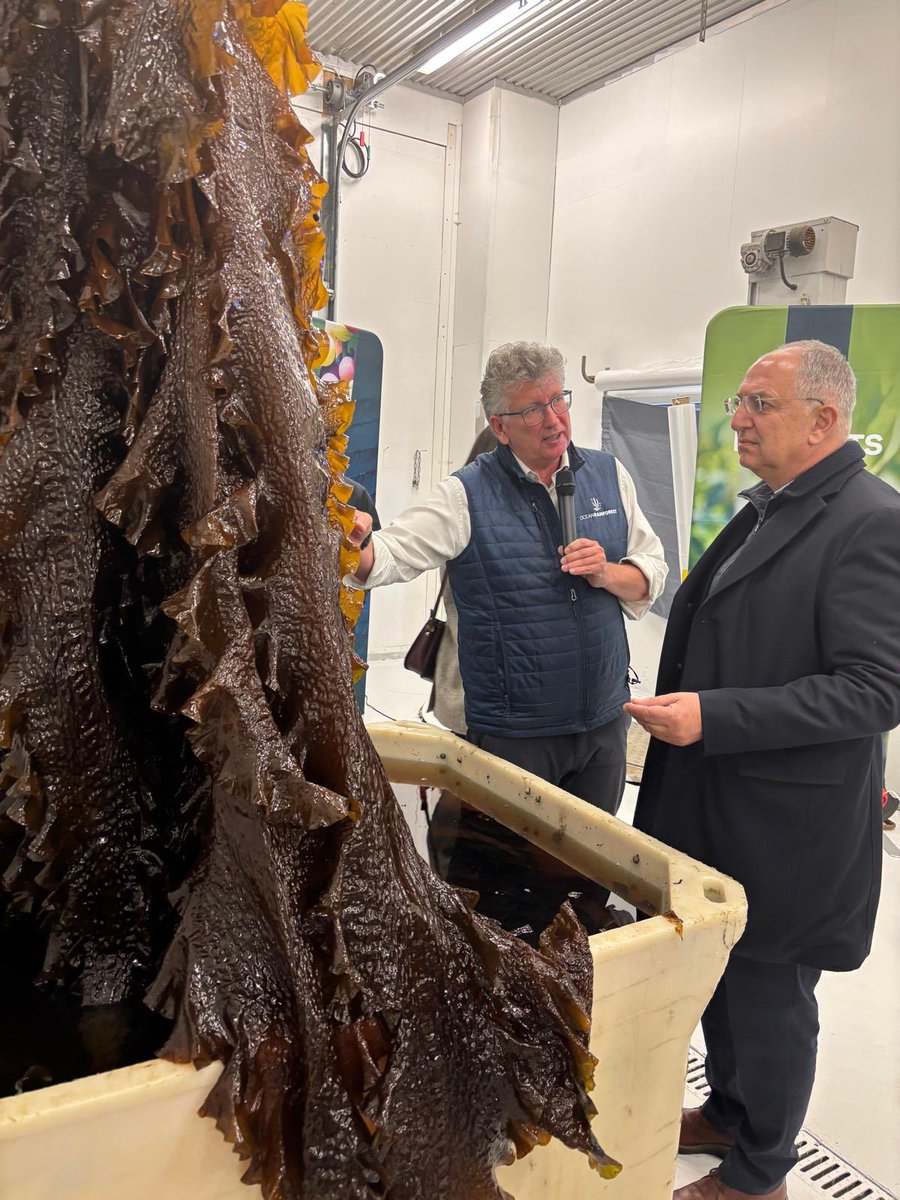 CostasKadis's tweet photo. The Faroe Islands 🇫🇴 are at the cutting edge of research and innovation in the blue bioeconomy. 
From pioneering seaweed cultivation, supporting low carbon circular value chains including home grown fertilisers for agriculture, to the state-of-the-art research vessel Jákup Sverri, contributing to ocean observation. 
👉Investing in research and science is the backbone of smart ocean governance.🌊