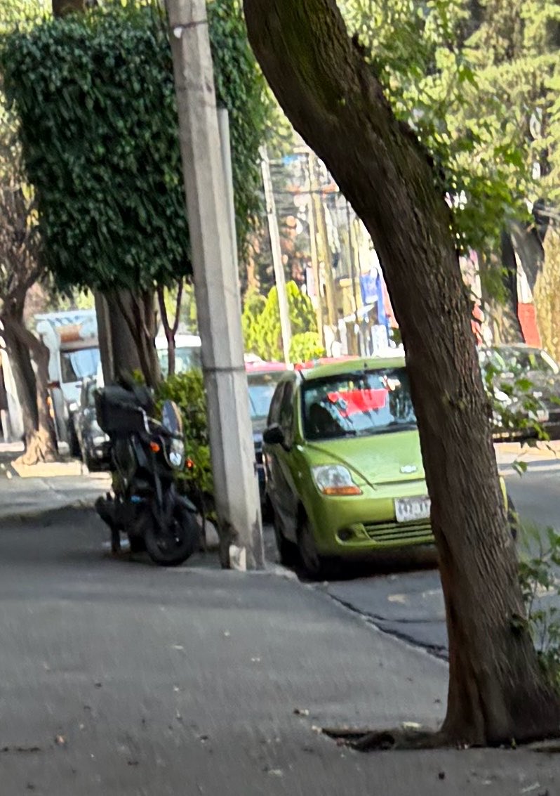 Reportandocdmx👀 tweet media