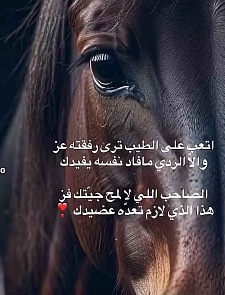 شموخ حرب 🇸🇦🌹❤️ tweet media