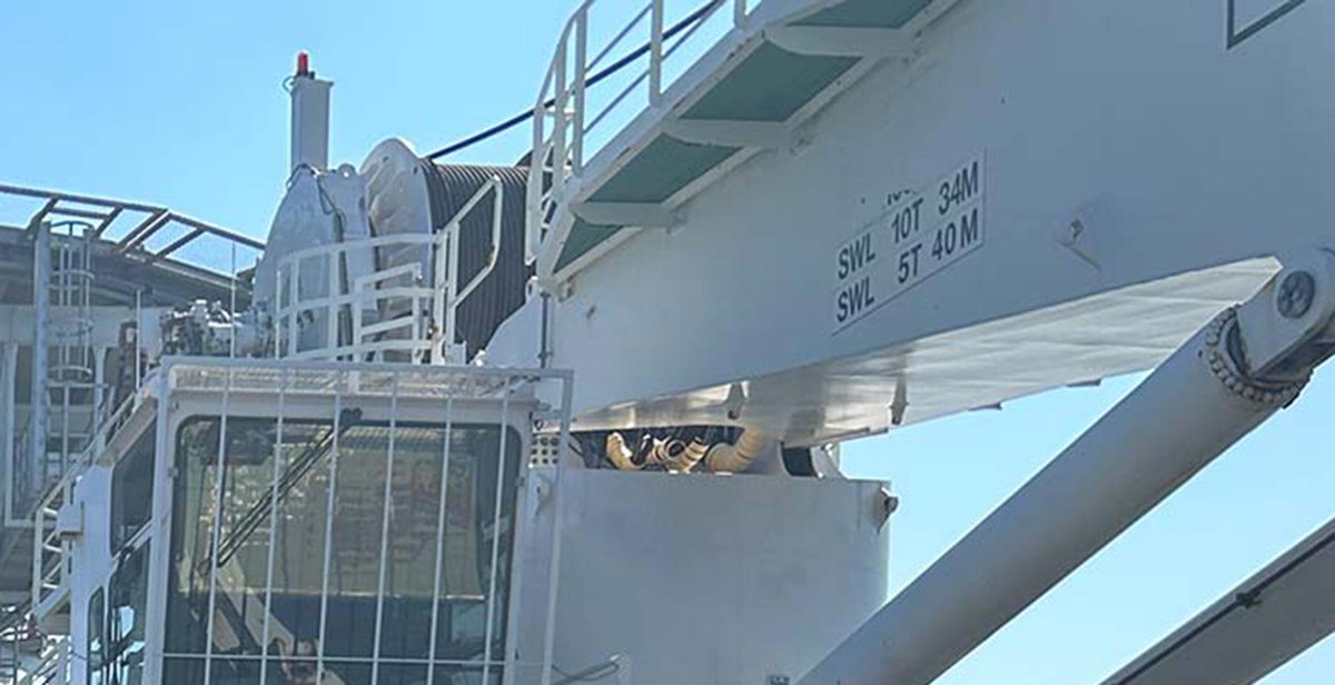 Navy Lookout tweet media