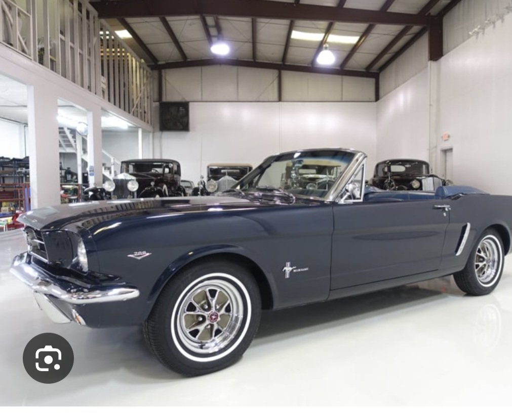 Anitafenner1's tweet photo. @lippyent My pic 1964 and a 1/2  mustang ! https://t.co/SddLNWthKY