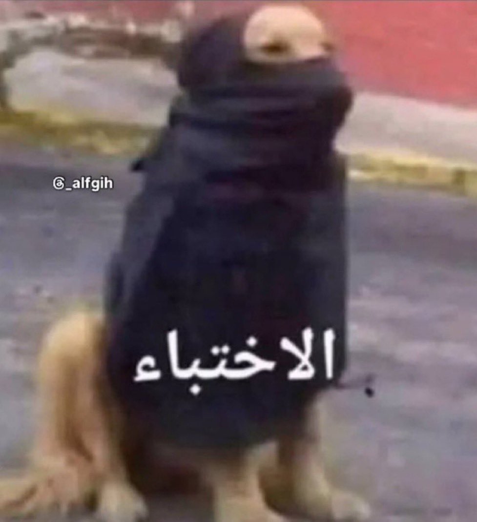 #Twice_on_top عادل tweet media