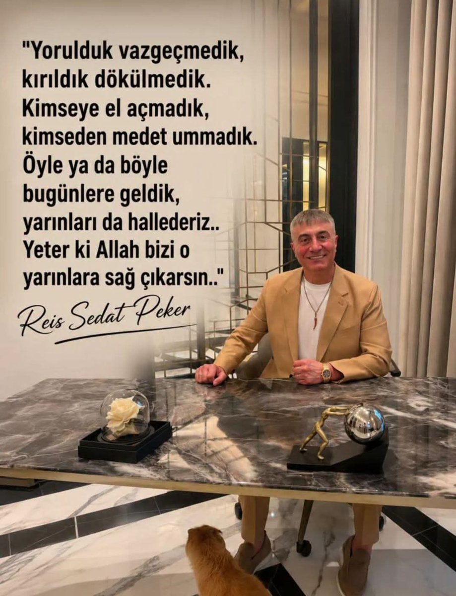 Güney USLU tweet media