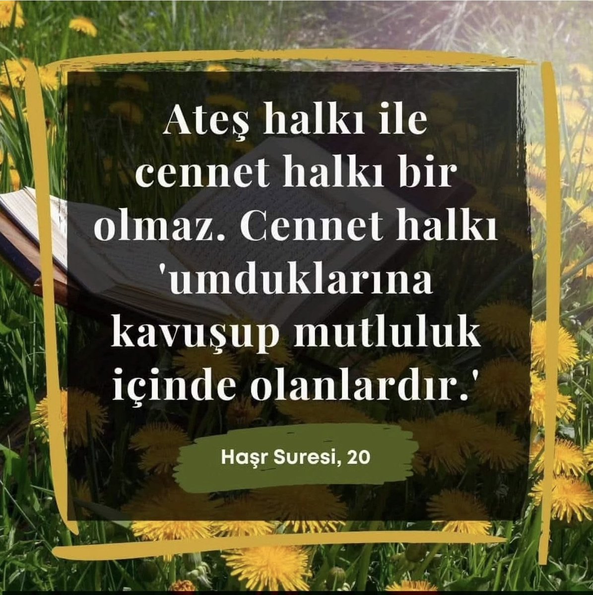 Timurhan32 tweet media