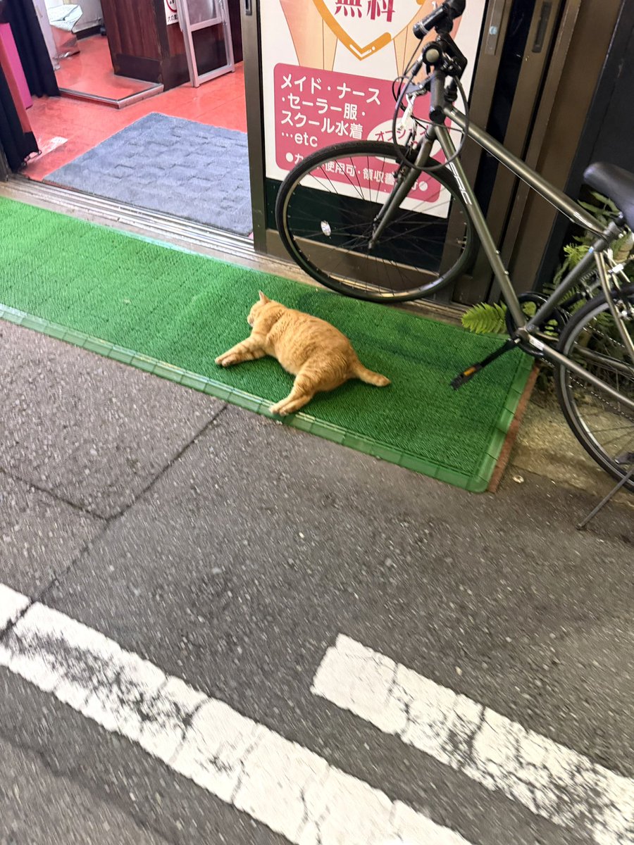 さぶぽち🎨🎹 tweet media