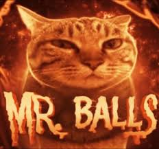 skyywy's tweet photo. @cinnamoslices Mr Balls https://t.co/Wl19dAJXdm