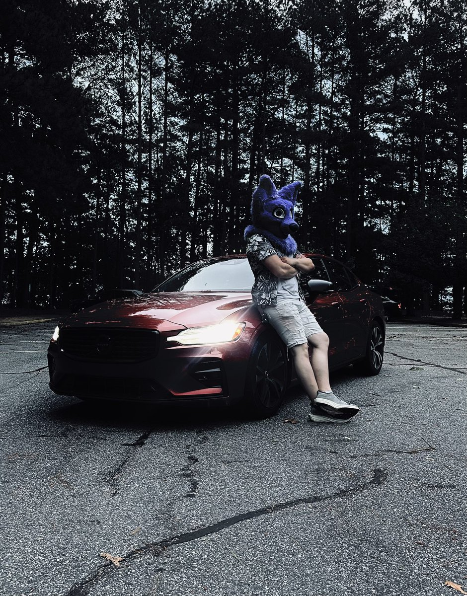 LaffieTaffie01's tweet photo. Had a fun weekend adventure with the new ride!!
๐ธ: @Serrowev
#carfurs #furrycar https://t.co/a5y8nNJQpg