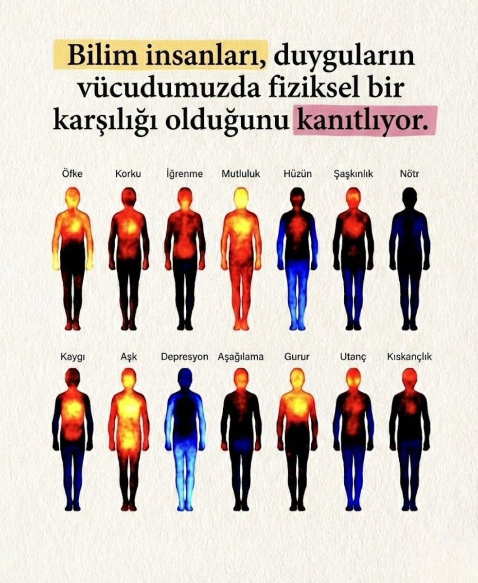 Kerem tweet media